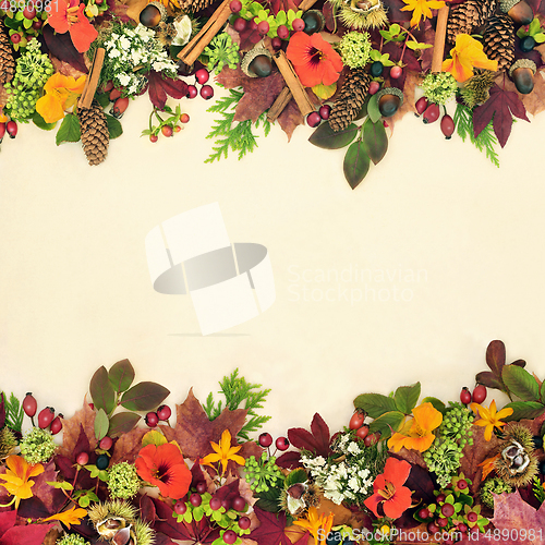 Image of Harvest Festival Background Border for the Fall