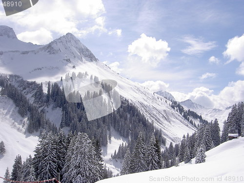 Image of Alpine landscape