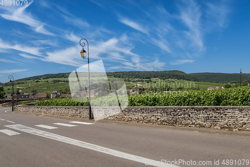 Image of View to the road and vineyard in Burgundy Bourgogne home of pinot noir and chardonnay in summer day with blue sky. Cote d'Or