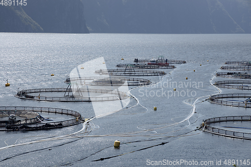 Image of Farm salmon fishing in Norway