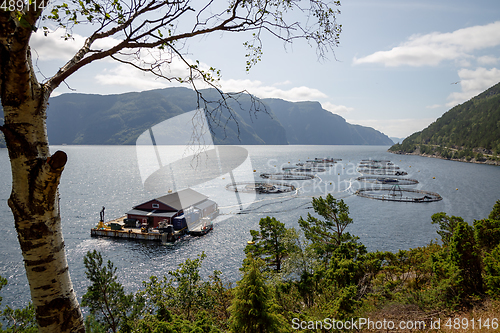 Image of Farm salmon fishing in Norway