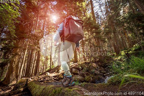 Image of Hiking woman walk with a hiking backpack in spring green forest