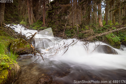 Image of Mountain River in the wood. Beautiful wildlife landscape.