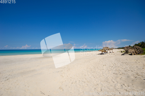 Image of Tropical beach