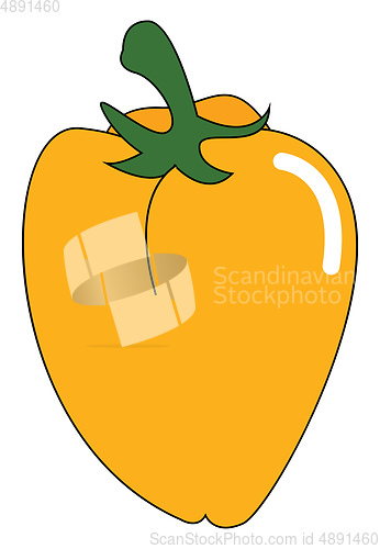 Image of yellow bell pepper with green stem, vector or color illustration