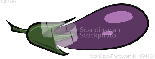 Image of Image of eggplant, vector or color illustration.