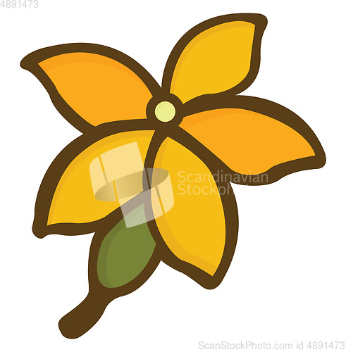 Image of  A yellow sunflower , vector or color illustration.