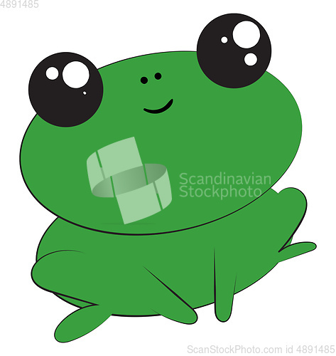 Image of Frog, vector or color illustration.