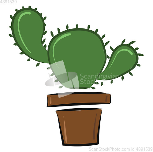 Image of Image of cactus icon, vector or color illustration.