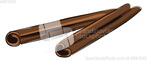 Image of Image of cinnamon, vector or color illustration.
