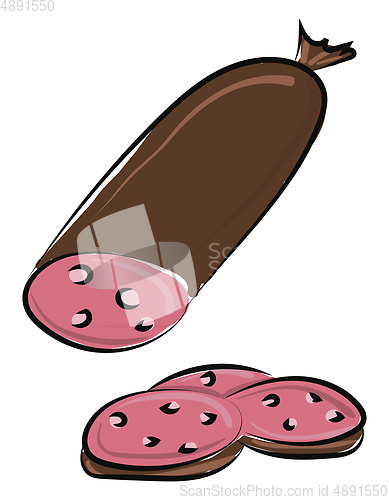 Image of Sausage in pieces, vector or color illustration.