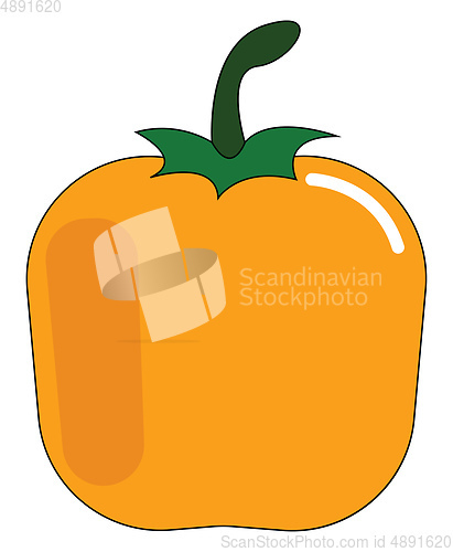 Image of  A yellow bell pepper , vector or color illustration.