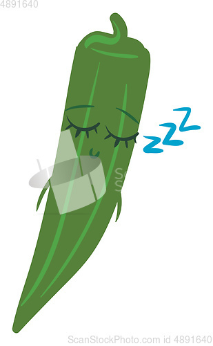 Image of Sleeping okra, vector or color illustration.