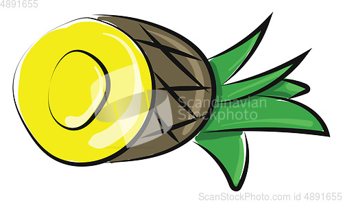 Image of Sliced pineapple, vector or color illustration.
