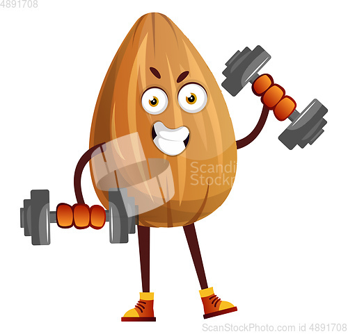 Image of Almond lifting weights, illustration, vector on white background