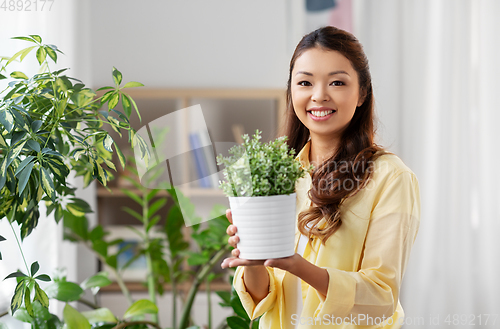 Image of happy asian woman with flower in pot at home