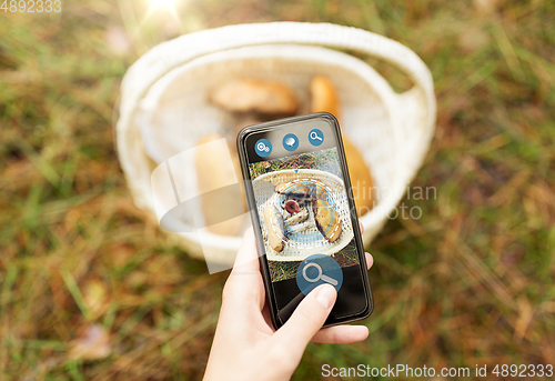 Image of hand with mushrooms using search app on smartphone