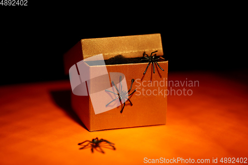 Image of toy spiders crawling out of gift box on halloween