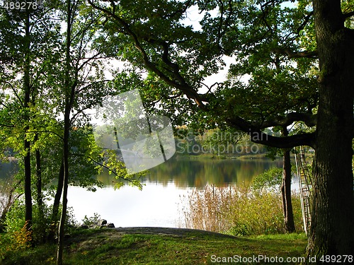 Image of Autumn at the lake