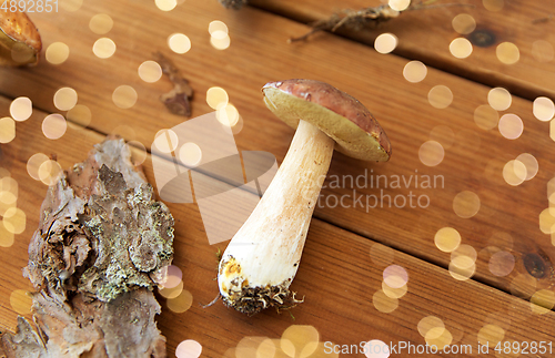 Image of boletus edulis mushroom and pine bark on wood