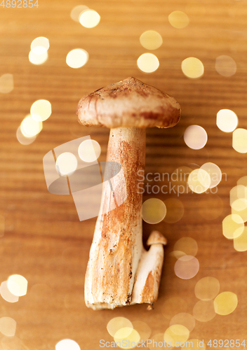 Image of lactarius rufus mushrooms on wooden background