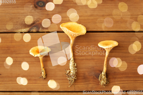 Image of chanterelles on wooden background