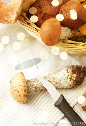 Image of basket of different edible mushrooms and knife