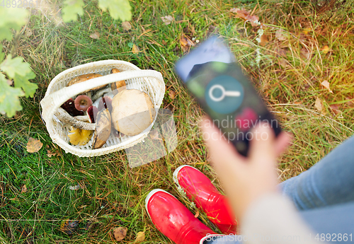 Image of hand with mushrooms using search app on smartphone