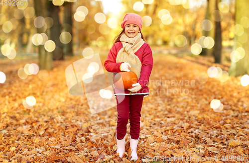 Image of happy girl with pumpkin at autumn park