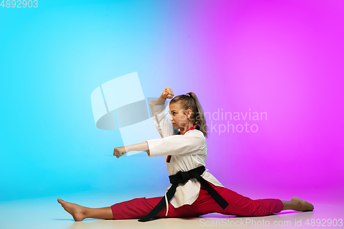 Image of Karate, taekwondo girl with black belt isolated on gradient background in neon light