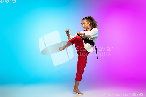 Image of Karate, taekwondo girl with black belt isolated on gradient background in neon light