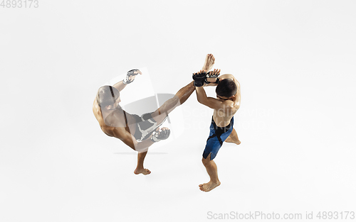 Image of Two professional MMA fighters boxing isolated on white studio background, dynamic and motion. Top view