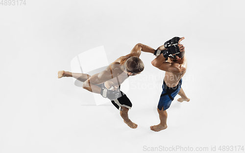 Image of Two professional MMA fighters boxing isolated on white studio background, dynamic and motion. Top view