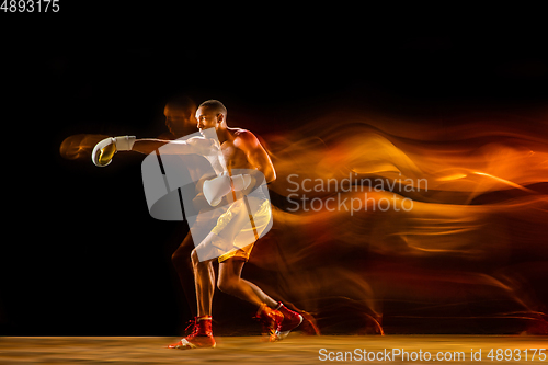 Image of Professional boxer training isolated on black studio background in mixed light