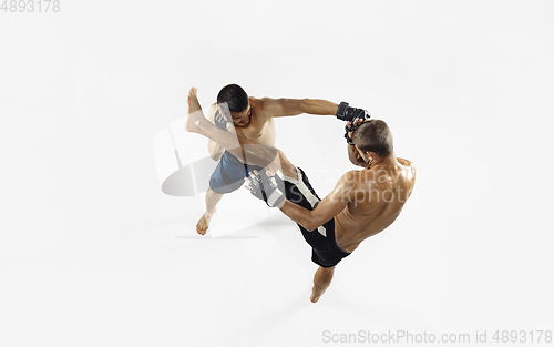 Image of Two professional MMA fighters boxing isolated on white studio background, dynamic and motion. Top view