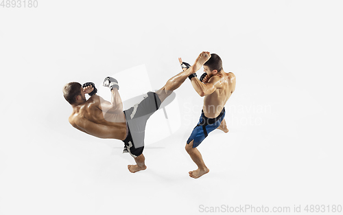 Image of Two professional MMA fighters boxing isolated on white studio background, dynamic and motion. Top view