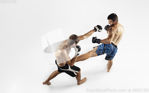 Image of Two professional MMA fighters boxing isolated on white studio background, dynamic and motion. Top view