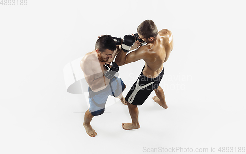 Image of Two professional MMA fighters boxing isolated on white studio background, dynamic and motion. Top view