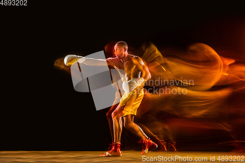 Image of Professional boxer training isolated on black studio background in mixed light