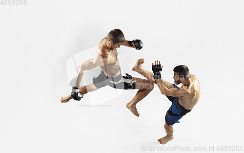 Image of Two professional MMA fighters boxing isolated on white studio background, dynamic and motion. Top view