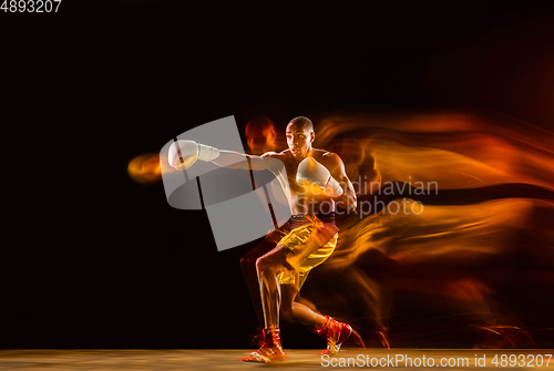 Image of Professional boxer training isolated on black studio background in mixed light