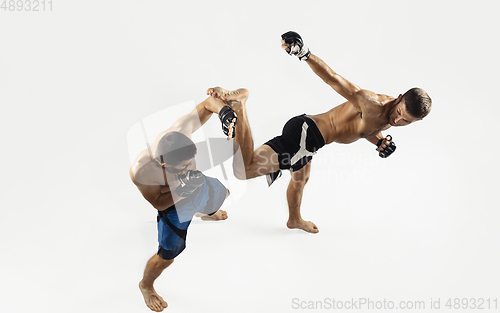 Image of Two professional MMA fighters boxing isolated on white studio background, dynamic and motion. Top view