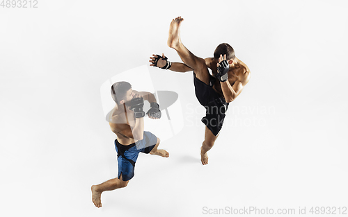 Image of Two professional MMA fighters boxing isolated on white studio background, dynamic and motion. Top view