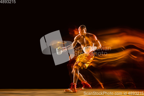 Image of Professional boxer training isolated on black studio background in mixed light