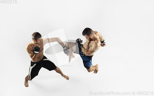 Image of Two professional MMA fighters boxing isolated on white studio background, dynamic and motion. Top view