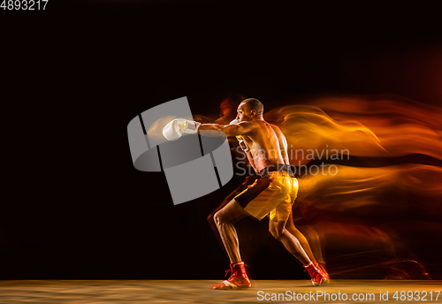 Image of Professional boxer training isolated on black studio background in mixed light