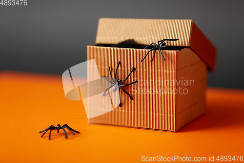 Image of toy spiders crawling out of gift box on halloween
