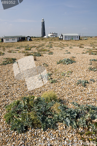 Image of Lighthouse