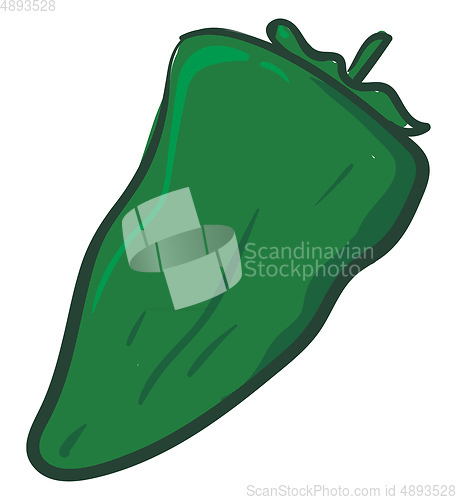 Image of Green pepper, vector or color illustration.