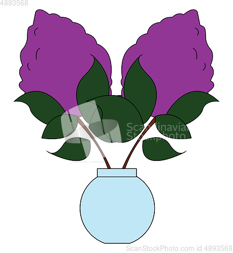 Image of Lilac with leaves, vector or color illustration.